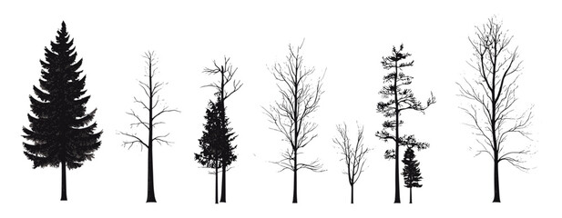 Fir Tree Minimalist Woodland Elements Arctic Theme, black forest design, organic hand-drawn tree, isolated fir, vector illustration, nature background, evergreen silhouette. christmas tree © aura studio
