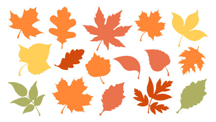 set of autumn leaf colourful vector