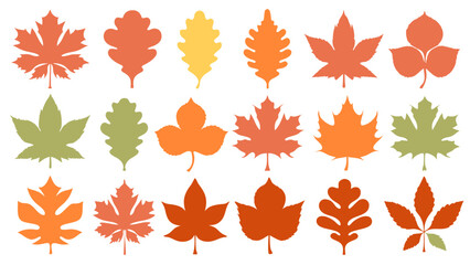 set of autumn leaf colourful vector