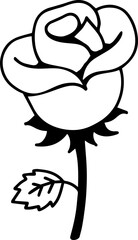 beautiful rose flower pattern transparent 