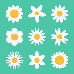 Chamomile daisy flower vector set. White camomile round flower icon. Set of simple, cute botanical floral elements design on a green background. Flat graphic abstract flower head vector illustration.