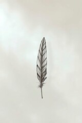 A single detailed feather drawing stands vertically against a neutral background