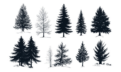Fototapeta premium Engraved Alpine Scene, Foggy Spruce Trees, Northern Winter Landscape, Snow Forest Clipart, Cold Climate Vector Pack, Vector Illustration, Mountain Winter Nature Elements, christmas tree