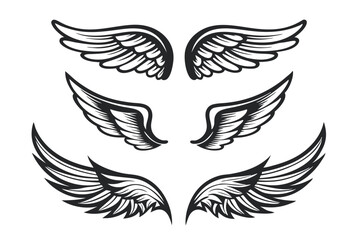 Obraz premium Stylized Black and White Vector Wings Collection for Design Elements and Creative Projects, isolated on white. 