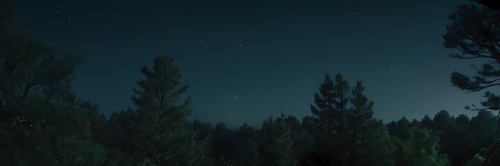 Fototapeta premium Mysterious Night Nature Scene with Moonlight, Mist, Stars, Forest Atmosphere, Cinematic Mood, Realistic Landscape Art