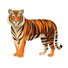 Obraz premium tiger standing vector on white background