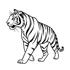 Fototapeta premium Sumatran Tiger line Art vector on white background