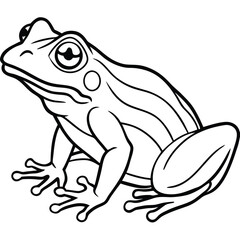 Fototapeta premium Detailed Frog Illustration, Amphibian Drawing, Wildlife Sketch, Nature Artwork