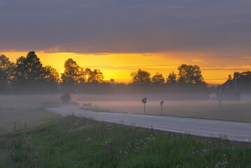 A glowing golden sunrise lights up a foggy rural road with trees silhouetted against the mist and a vivid yellow-orange sky.