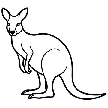 Minimalist kangaroo outline illustration standing with distinctive tail and ears design.
