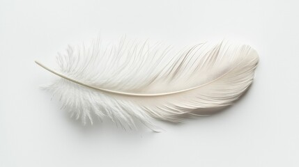 Obraz premium An isolated white feather lying on a plain white surface