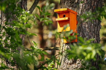 A vivid orange wooden birdhouse is mounted on a tree trunk, surrounded by lush green leaves and natural forest light in a tranquil woodland setting.
