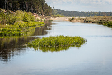 A tranquil river flows past a grassy island, bordered by forest and sandy banks under a clear sky, reflecting the surrounding greenery in its still water.