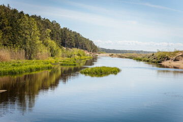 Fototapeta premium A tranquil river flows past a grassy island, bordered by forest and sandy banks under a clear sky, reflecting the surrounding greenery in its still water.