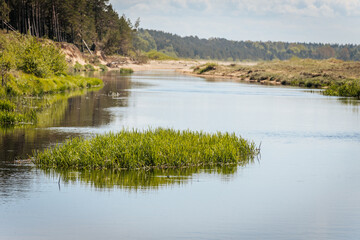 A tranquil river flows past a grassy island, bordered by forest and sandy banks under a clear sky, reflecting the surrounding greenery in its still water.