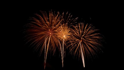 Three Golden Fireworks Exploding Against a Dark Black Sky during a Festive Event or Celebration at Night Time