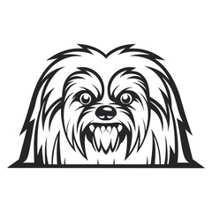 Vector Illustration: Aggressive Lhasa Apso Dog Head with Sharp Teeth in Black and White on Isolated Background, ideal for pet products, prints, or edgy designs.