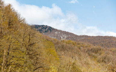 Fototapeta premium A mountain range with trees in the foreground and a cloudy sky in the background