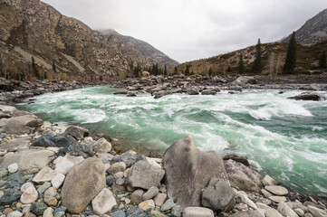 View of river Katun in Altay mountains in the autumn