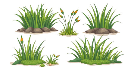 wild meadow grass, green turf set, grass flat design, grass simple illustration, grass outline, grass cartoon pack, leafy grass set, summer nature grass, wildland grass, grass bundle illustration, gra © mrpixel