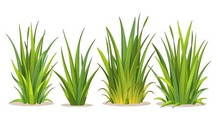 grass pattern, isolated grass, grass patch, green lawn vector, cartoon lawn grass, garden grass set, grass frame, grass decoration, realistic grass vector, grass texture set, grass tuft, spring grass 