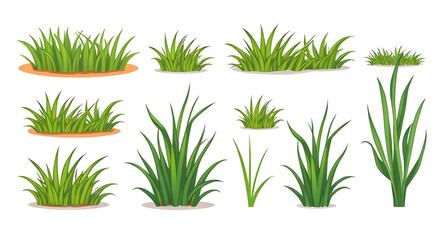 grass bundle, wild grass set, grass pattern, isolated grass, grass patch, green lawn vector, cartoon lawn grass, garden grass set, grass frame, grass decoration, realistic grass vector, grass texture 