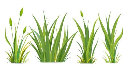 grass clipart, summer grass set, natural grass design, grass field vector, grass collection, grass bundle, wild grass set, grass pattern, isolated grass, grass patch, green lawn vector, cartoon lawn g