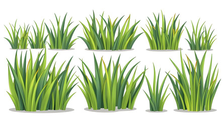 Fototapeta premium set of grass, grass vector, green grass set, grass blades, cartoon grass, grass silhouette, meadow grass set, fresh grass illustration, lawn grass, grass border, decorative grass, grass clipart, summe
