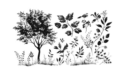 Countryside autumn landscape, hazel tree vector, wild forest silhouette, organic engraving style, natural scenery, tree illustration, rural environment, seasonal nature, vector illustration