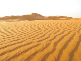 Golden Desert Dunes Landscape with Textured Sand Waves