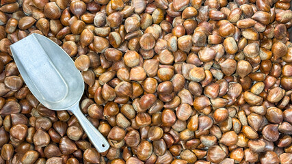 Antique metal scoop nestles in a sea of glossy chestnuts, evoking memories of Marron Glace crafting...