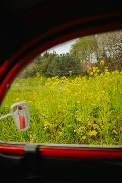 Classic Citroen Car Amidst Scenic Greenery