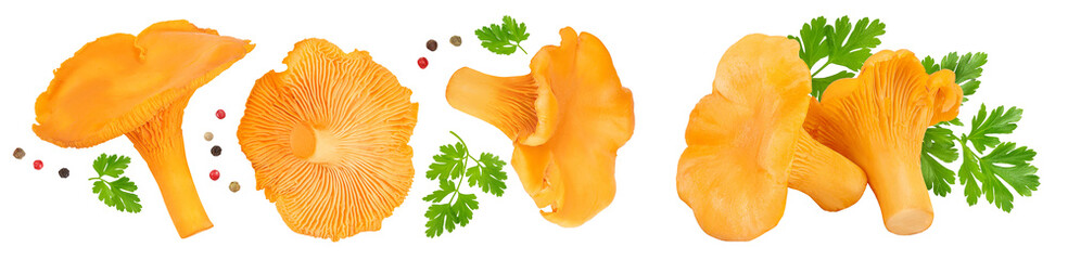 Chanterelle mushroom isolated on a white background. Top view. Flat lay