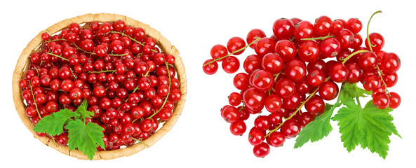 Red currant berries in a wicker basket with leaf isolated on white background. Top view. Flat lay