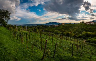 Valdobbiadene paesaggio