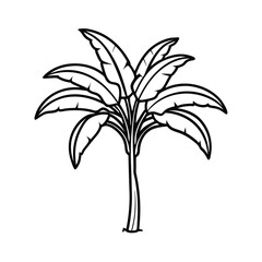 banana tree illustration tropical plant