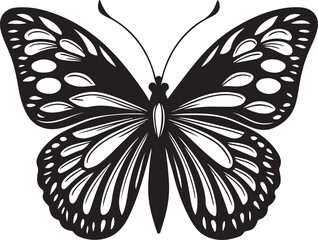 Flying butterfly silhouette black isolated on white background