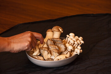 Choosing Edible mushrooms 16507