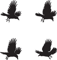 Fototapeta premium Flying Crow & Raven Silhouettes: Birds in Flight Vector Set