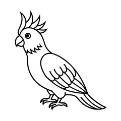 cockatiel outline line art