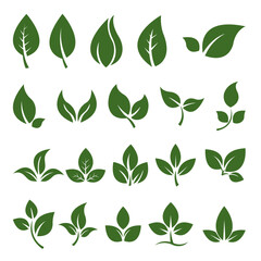 20 Collection of Green Leaf Illustrations Nature Icons and Symbols for Design Projects