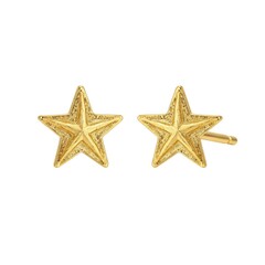 Gold star earrings isolated on white background