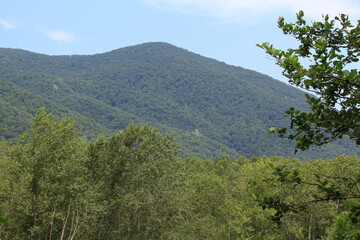 Caucasus Mountains on the Black Sea coast