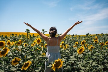 Happy woman arms raised and enjoying in sunflower field.