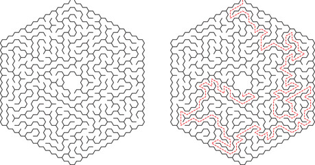 Hexagonal Maze Puzzle Solution Complex Pathfinding Brain Teaser