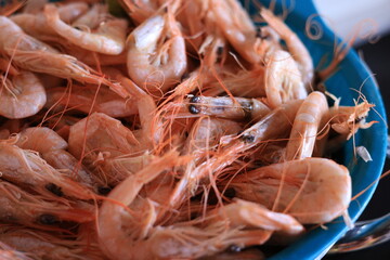 fresh shrimps on the market