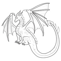 Beautiful Dragon line art for coloring book