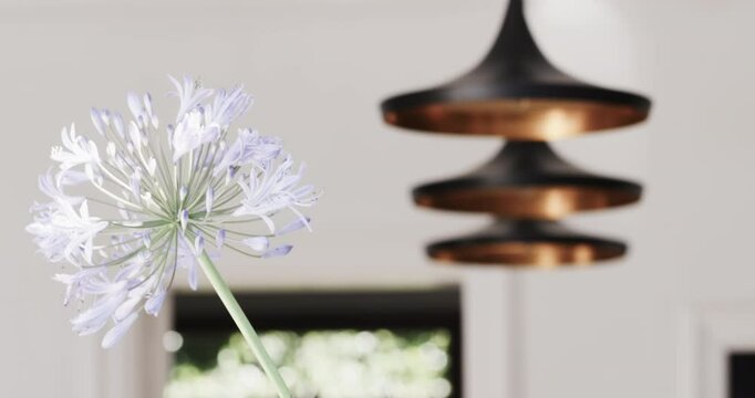 Delicate purple flower blooming indoors near modern pendant light fixture, at home