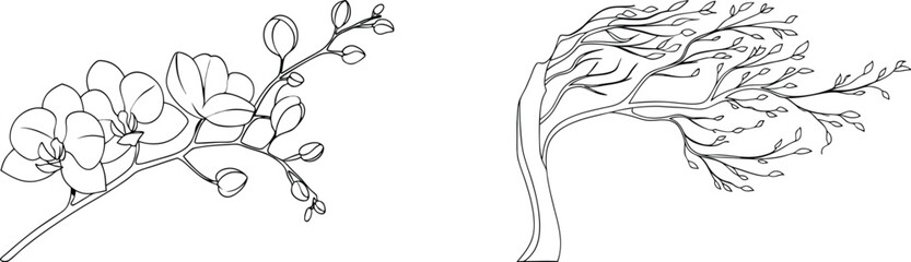 Elegant black and white line art of orchid flowers and a windblown tree branch