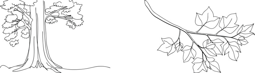 Detailed outline drawing of a large tree and branch with leaves vector illustration
